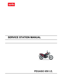 Aprilia Pegaso 650 (3rd Gen.) Service Manual (2001-04)