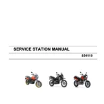 Aprilia Pegaso 650 Strada/Trail/Factory models 2005 to 2011 (4th Gen.) original motorcycle manufacturer's PDF repair manual download