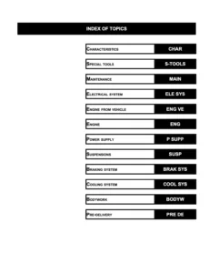 Aprilia Pegaso 650 Strada/Trail/Factory