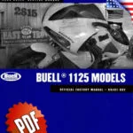 Buell 1125 2009