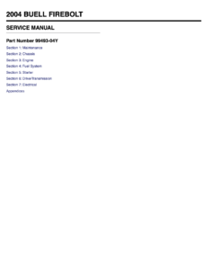 Buell XB9R/XB12R Firebolt 2004