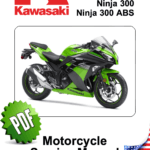 Kawasaki Ninja 300