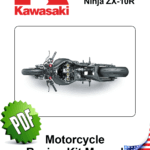 Kawasaki ZX10R Racing 2009