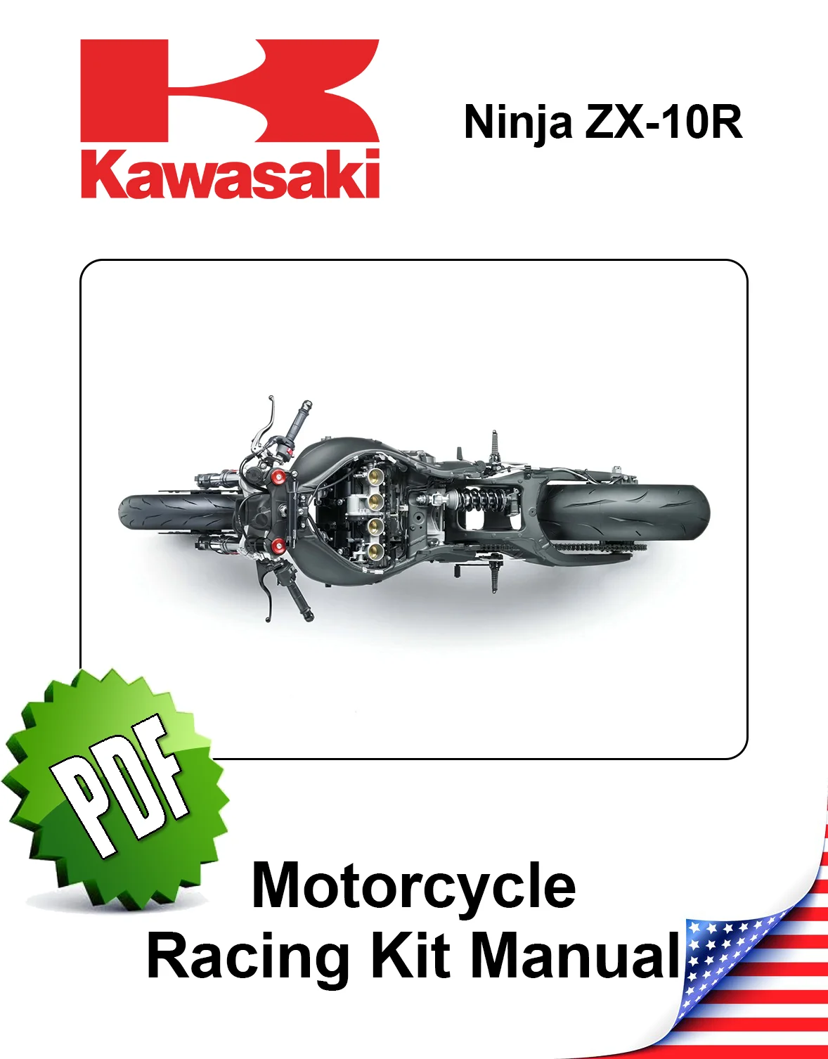Kawasaki ZX10R Racing 2009
