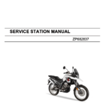 Malaguti Dune X125 Euro 4 Service Manual models 2018 to 2020 original motorcycle manufacturer's PDF repair manual download