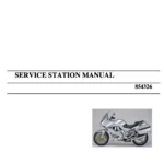 Moto Guzzi Norge 1200 2006 to 2016 original motorcycle manufacturer's PDF repair manual download