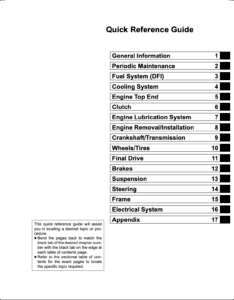 Kawasaki VN1600 Mean Streak