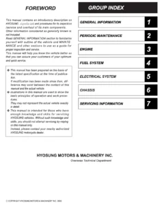 Hyosung GV250 Aquila