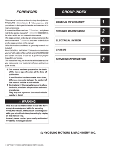 Hyosung Comet 650 S R Service Manual 2005