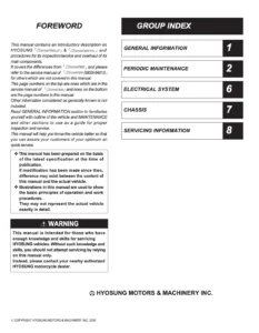 Hyosung Comet 650 S R Service Manual 2005
