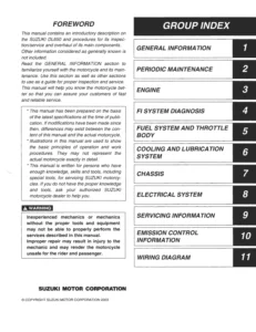Suzuki DL650 V-STROM Repair Manual (2004-11)