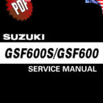 Suzuki GSF600S
