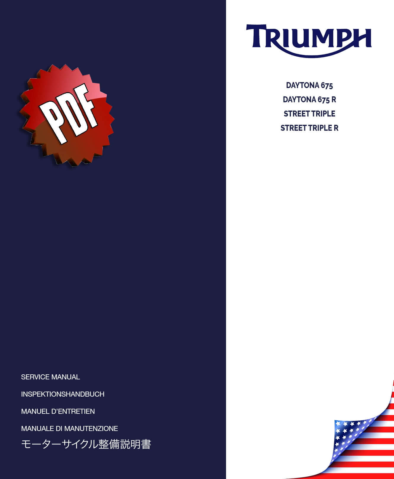 Triumph Daytona 675 R / Street Triple R Repair Manual (2013-17)