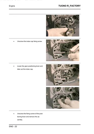 Aprilia Tuono R Factory Service Manual (2007) Sample Preview: Factory internal gearbox and selector service procedure from the complete V990RR NG engine-repair section