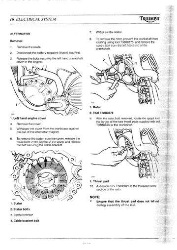 Triumph Tiger 955i Service Manual (2001) Sample Preview: Triumph Tiger electrical-system repair diagrams and component checks